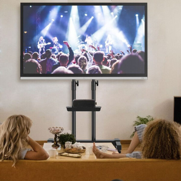 Two people watching a live concert on a large screen at home.